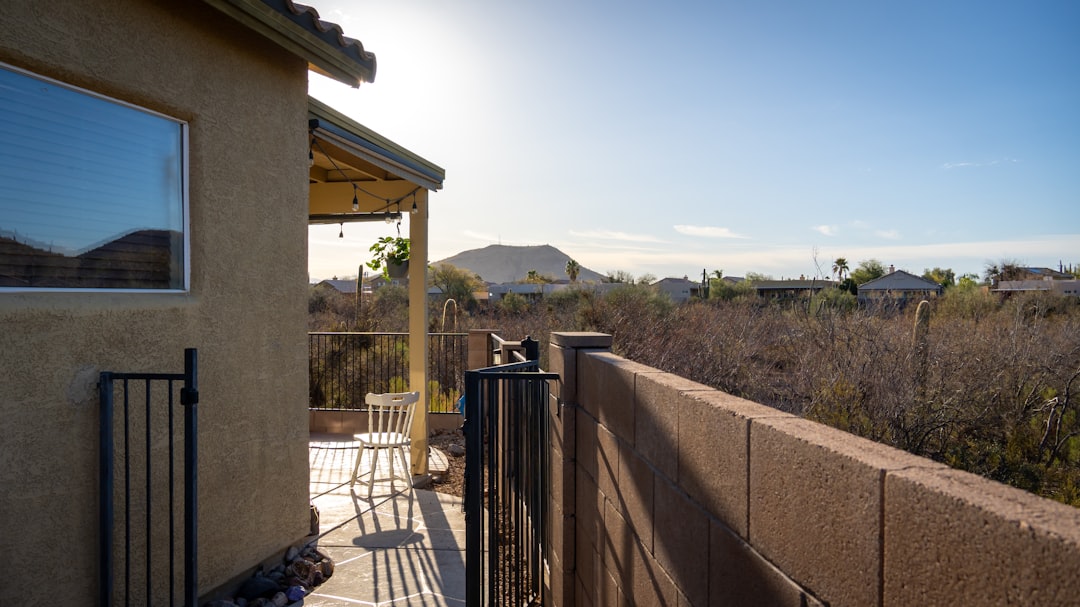 Arizona backyard pool lifestyle and sunny outdoor living